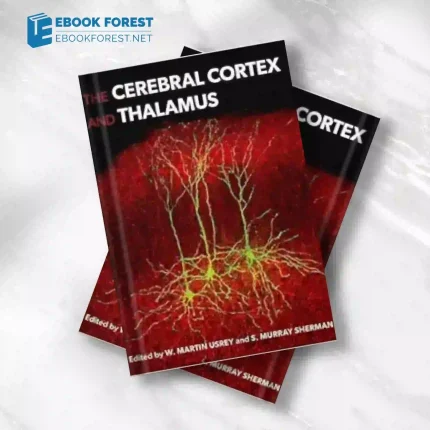 The Cerebral Cortex and Thalamus.2023 Original PDF