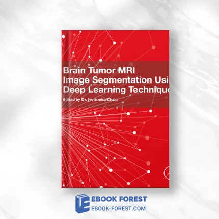 Brain Tumor MRI Image Segmentation Using Deep Learning Techniques (EPUB)