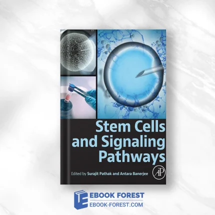 Stem Cells And Signaling Pathways